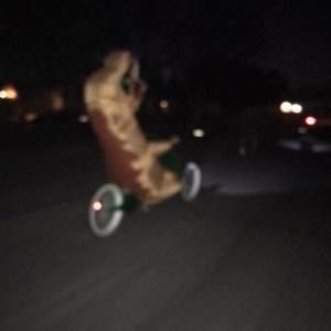 Meet your Posher, Martin